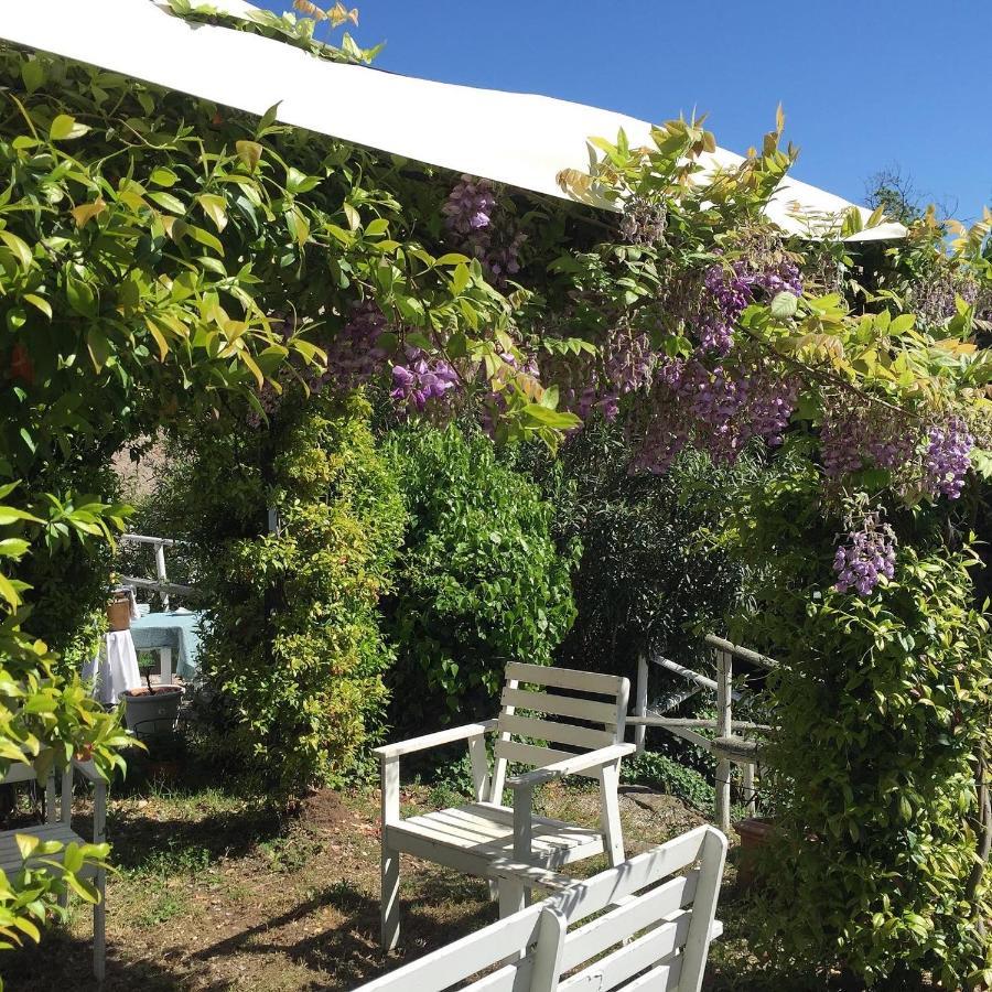 Relais Il Pigno Casa de hóspedes Affi Exterior foto